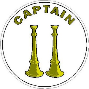 Captain Bugles - Vinyl Sticker