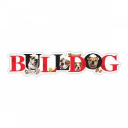 Bulldog - Alphabet Magnet