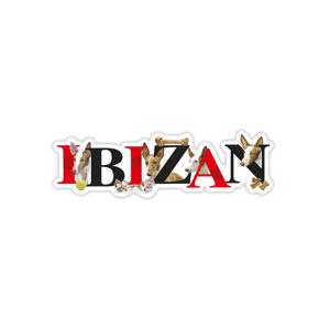 Ibizan - Alphabet Magnet