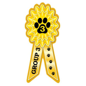 Group 3 - Yellow Prize Ribbon Magnet at Sticker Shoppe