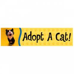 Adopt A Cat - Bumper Magnet