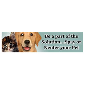 Spay Or Neuter Your Pet - Bumper Magnet