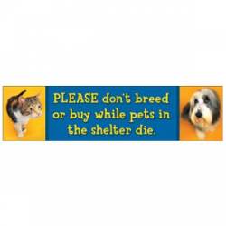 Please Don't Breed Or Buy While Pets In The Shelter Die - Orange And Blue Bumper Magnet
