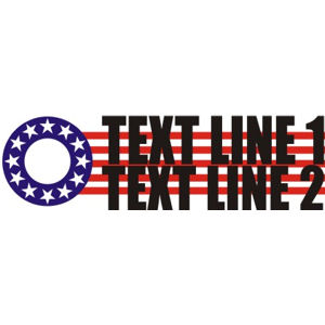 Custom Political Bumper Sticker