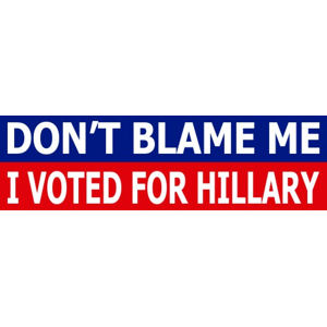 DON'T BLAME ME I VOTED FOR HILLARY CLINTON IRON-ON PATCH embroidered ELECTION 