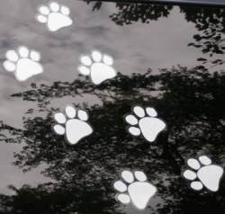 Paw Trail - Vinyl Stickers
