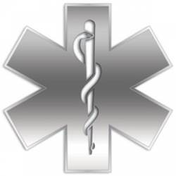 Grey Gradient Star Of Life - Reflective Sticker