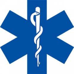 Blue Star Of Life - Reflective Sticker