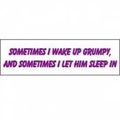 Sometimes I Wake Up Grumpy, And Sometimes I Let Him Sleep In - Bumper Magnet