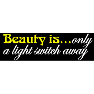 Beauty Is Only A Light Switch Away - Bumper Magnet