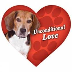 Beagle Unconditional Love - Heart Magnet