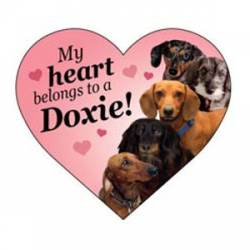My Heart Belongs To A Doxie - Heart Magnet
