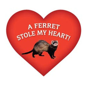 A Ferret Stole My Heart - Heart Magnet