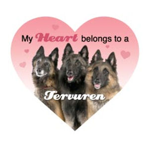 My Heart Belongs To A Belgian Tervuren - Heart Magnet