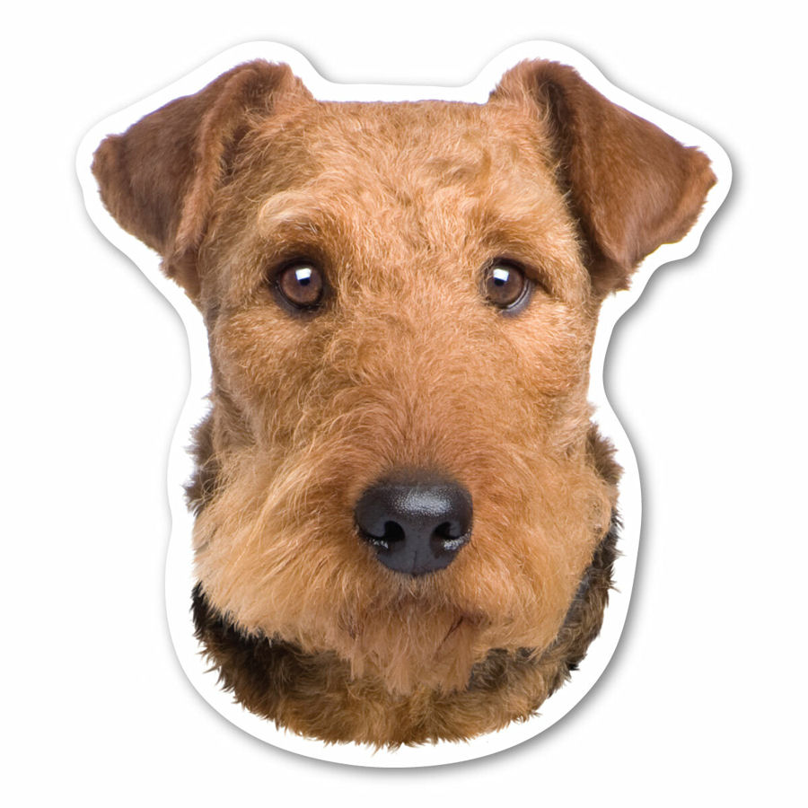Airedale Terrier - Dog Head Magnet