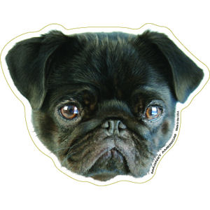 Black - Pug Magnet