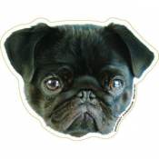 Black - Pug Magnet