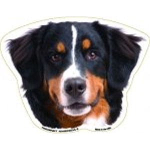 Bernese Mountain Dog - Magnet