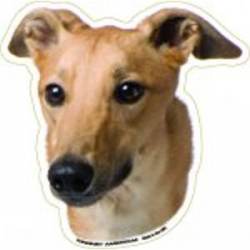 Greyhound - Magnet