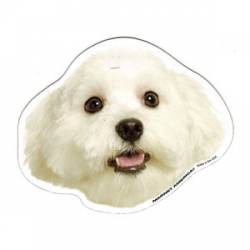 Maltese - Magnet