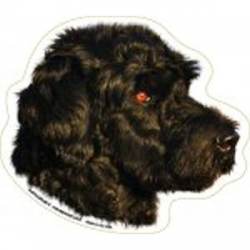 Portuguese Water Dog - Magnet