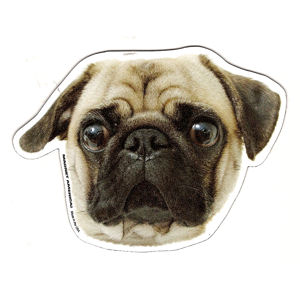 Pug - Dog Head Magnet
