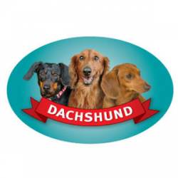 Dachshund - Oval Magnet
