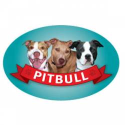 Pitbull - Oval Magnet