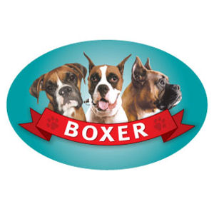 Boxer - Oval Magnet