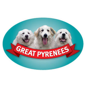 Great Pyrenees - Oval Magnet