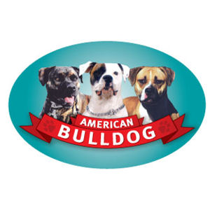 American Bulldog - Oval Magnet