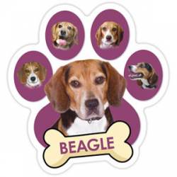 Beagle - Purple Paw With Bone Magnet