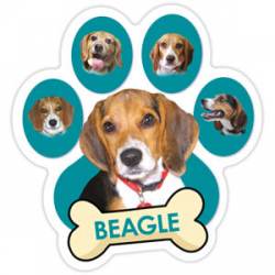 Beagle - Teal Paw With Bone Magnet