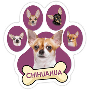 Chihuahua - Purple Paw With Bone Magnet