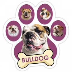 Bulldog - Purple Paw With Bone Magnet