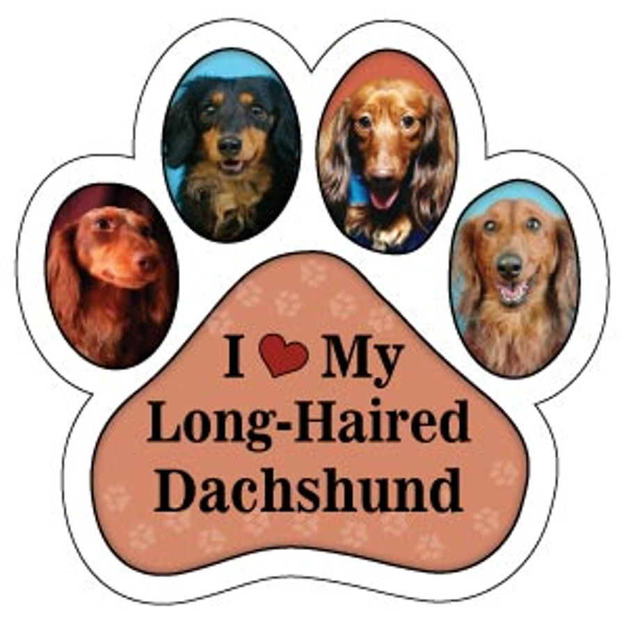 I Love My Long Haired Dachshund - Paw Magnet