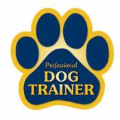 Professional Dog Trainer - Paw Magnet