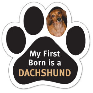 My First Born Is A Dachshund - Paw Magnet