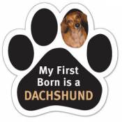My First Born Is A Dachshund - Paw Magnet