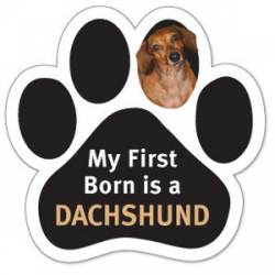 My First Born Is A Dachshund - Paw Magnet
