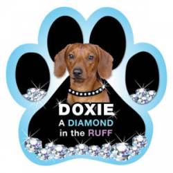 Doxie, A Diamond In The Ruff - Paw Magnet