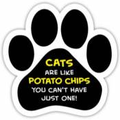Cats Are Like Potato Chips You Can't Just Have One! - Paw Magnet