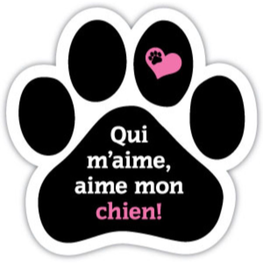 Qui M