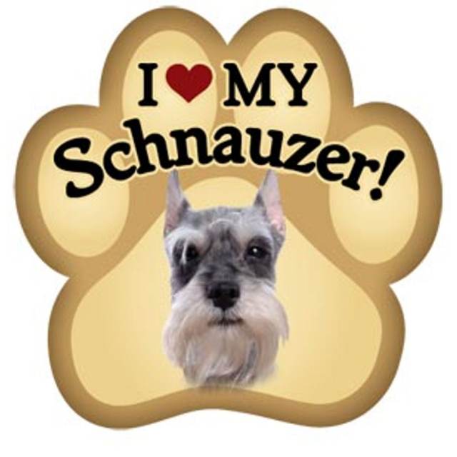 I Love My Schnauzer - Paw Magnet
