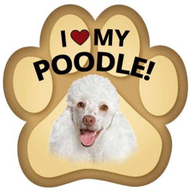 I Love My Poodle - Paw Magnet