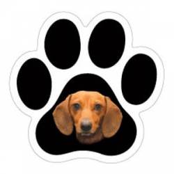 Dachshund - Mini Paw Magnet