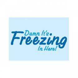 Damn It's Freezing In Here - Refrigerator Magnet