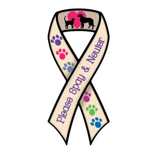 Please Spay & Neuter - Multicolor Ribbon Magnet