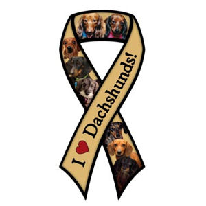 I Love Dachshunds - Ribbon Magnet