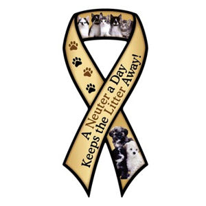 A Neuter A Day Keeps The Litter Away - Ribbon Magnet